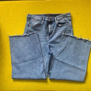 Banana Republic Premium Denim High Rise Wide Leg Crop Jeans 32L